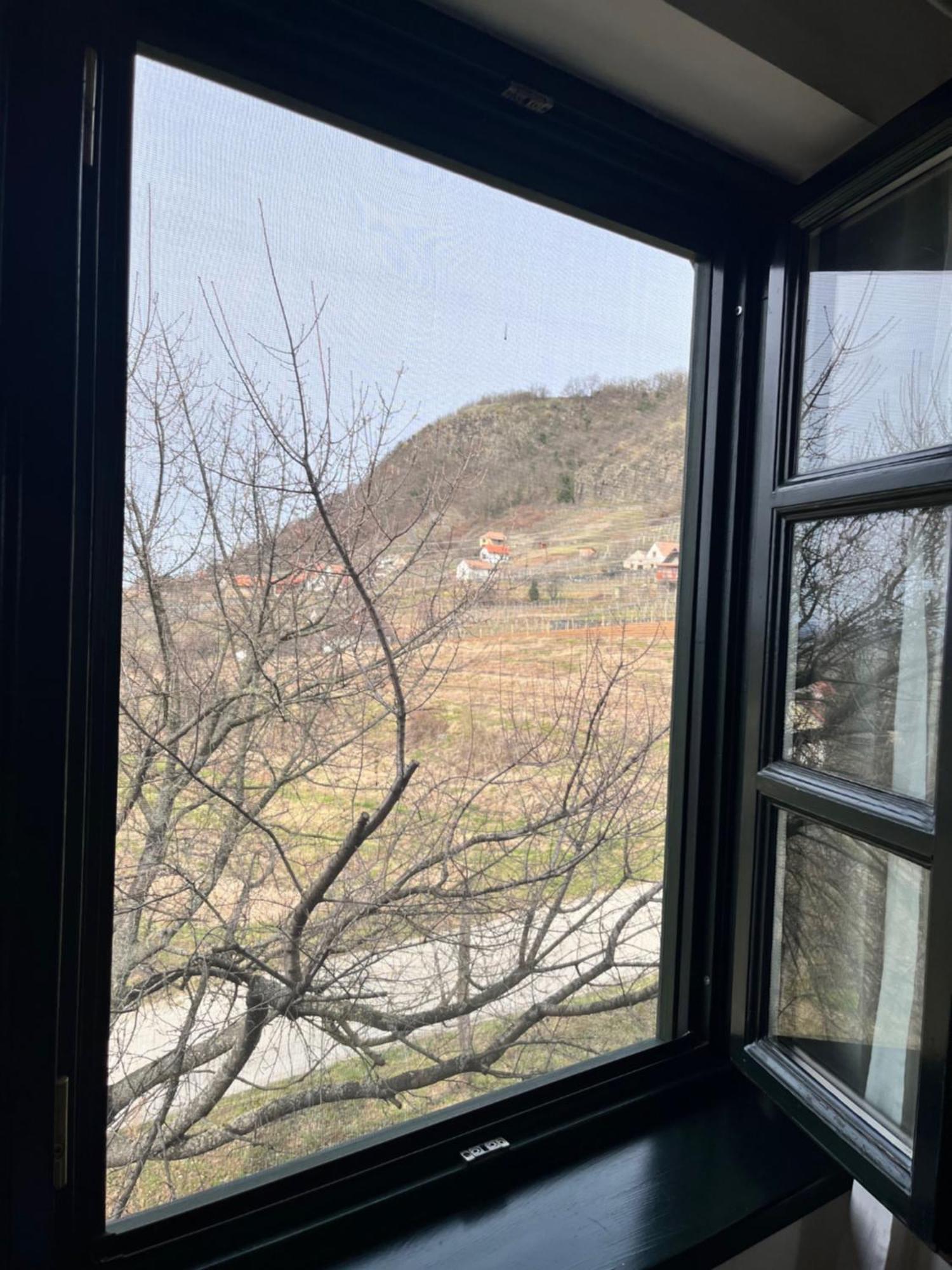 Somlo Wineshop Guesthouse Somlovasarhely Esterno foto