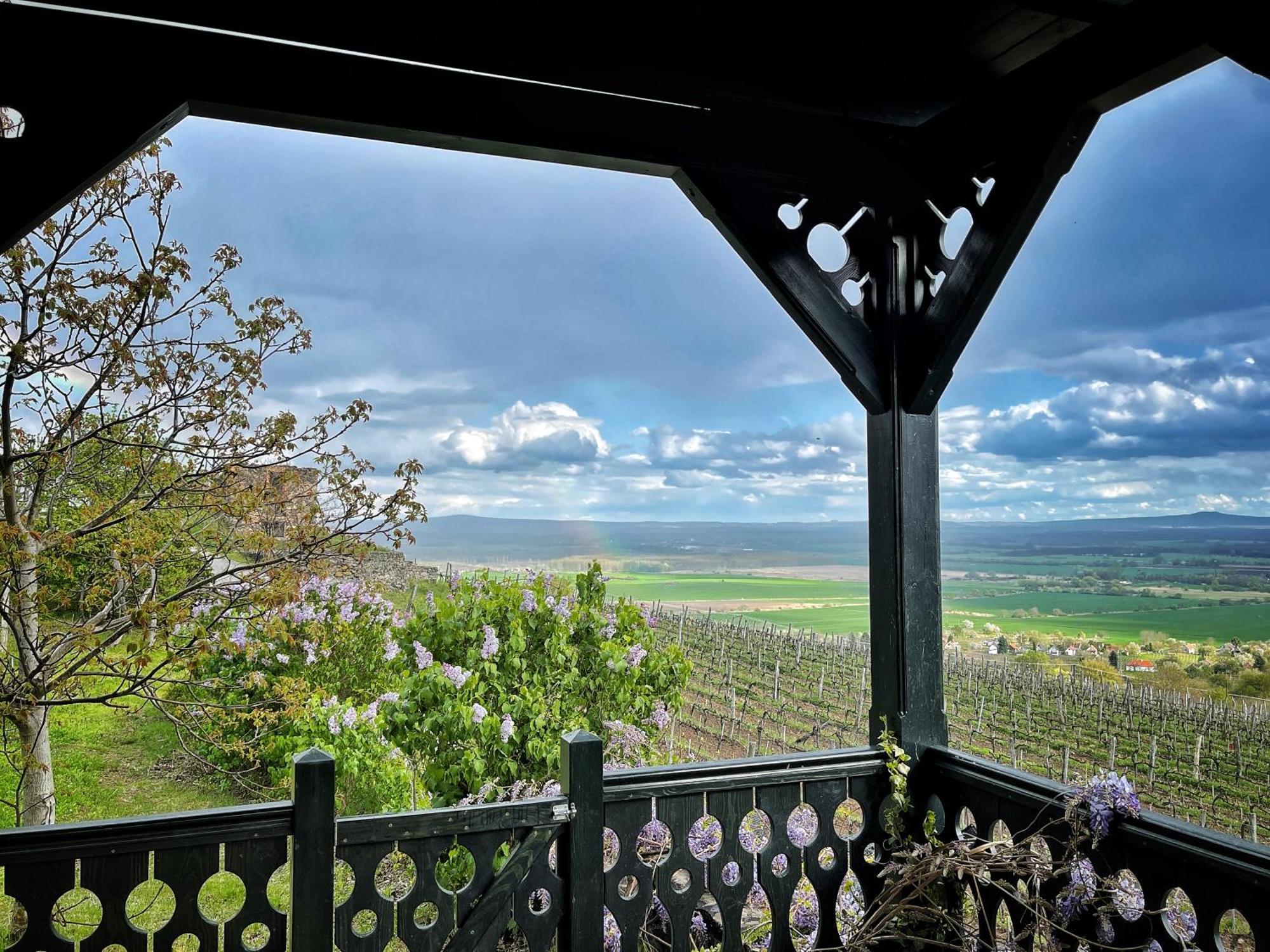 Somlo Wineshop Guesthouse Somlovasarhely Esterno foto
