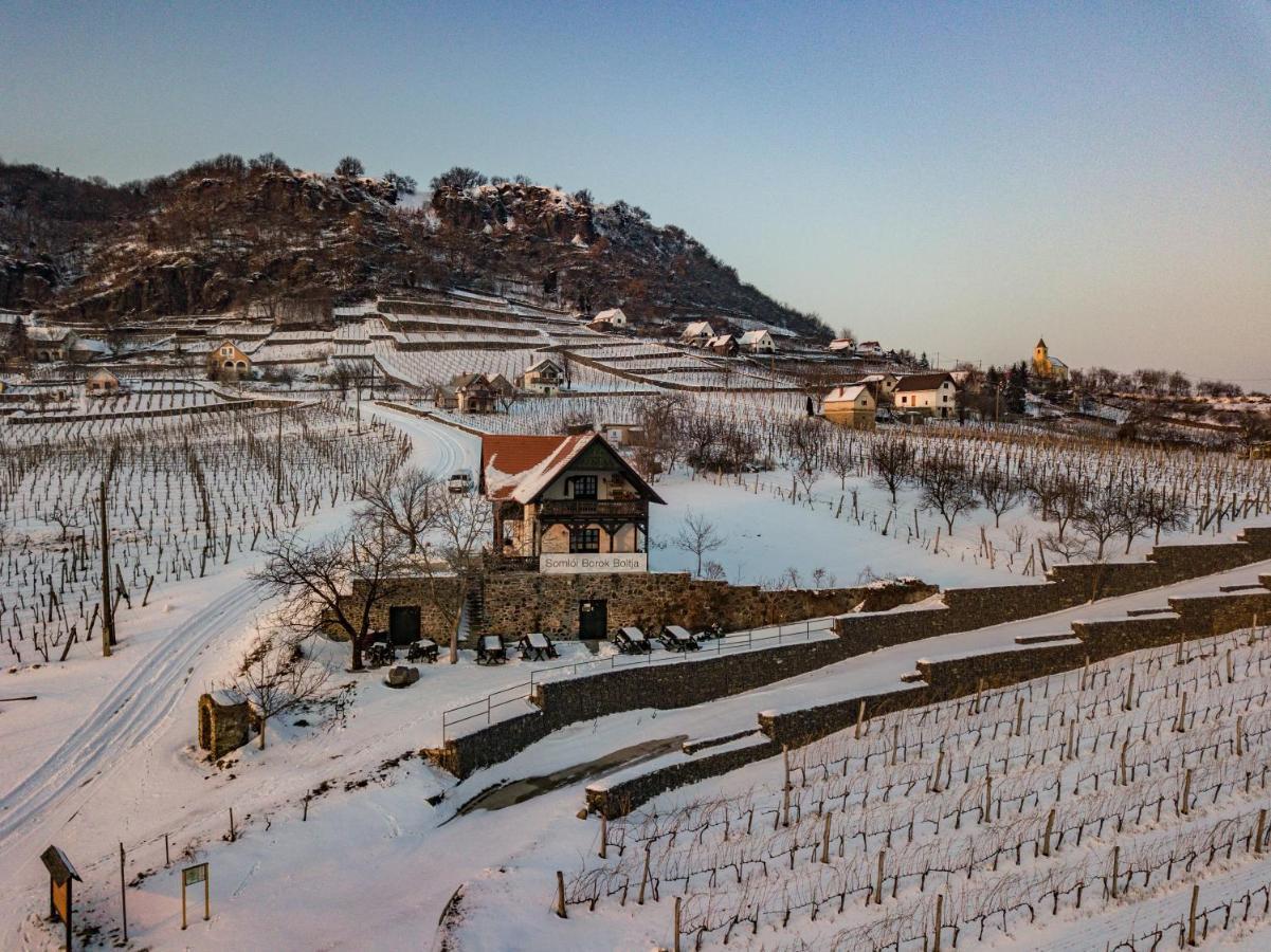 Somlo Wineshop Guesthouse Somlovasarhely Esterno foto